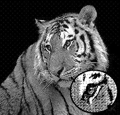 17d.gif